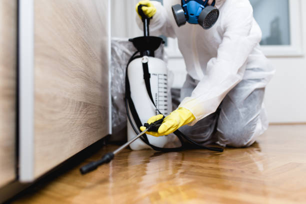 Insect Control in Coral Hills, MD