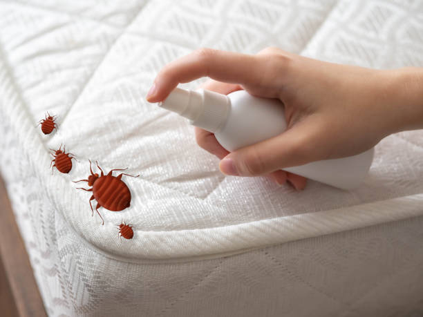 Best Local Pest Control Services  in Coral Hills, MD